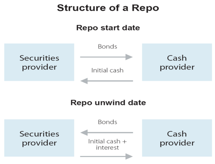 structure of a repo