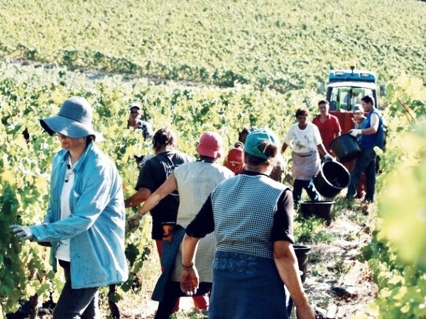 The Po(o)rtuguese Problem: Portuguese Economic Growth Backwardness