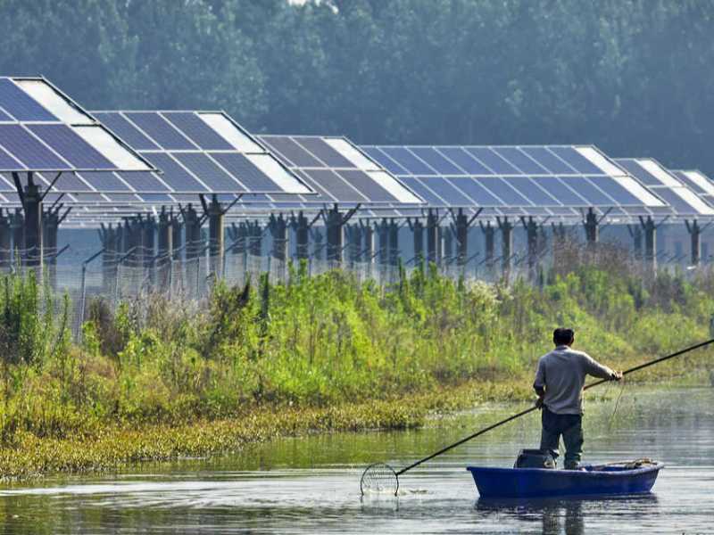 Power up: Sustainable energy in Developing Economies